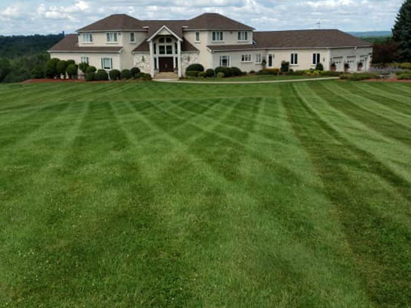 Lawn Maintenance Background