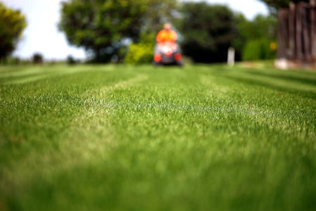 Lawn mowing