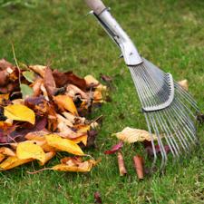Fall cleanups