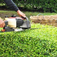 Hedge trimming