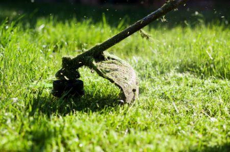 Weed whacking