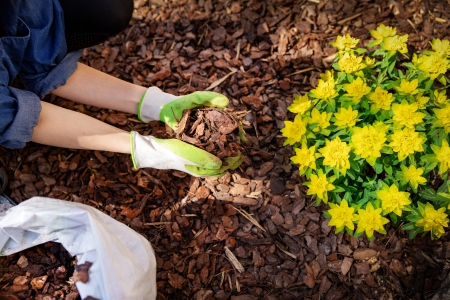 Hudson valley lawn specialist mulching client's flowerbed