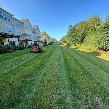 Lawn mowing schedules that keep hudson valley lawns thick and healthy