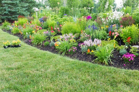 Newly installed foundation shrubs mulch ring orange county ny